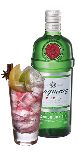 Tanqueray London Dry Gin & Tonic Cranberry