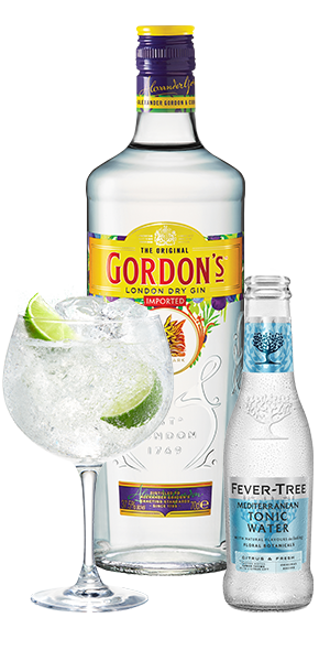 Gordon’s London Dry Gin & Tonic